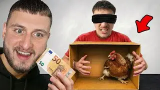 GJEJ CA KA KUTIA = FITO 50 EURO !!
