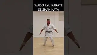 Seishan Kata #wadoryu  #martialarts #karate #shorts
