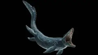 Mosasaurus J.W