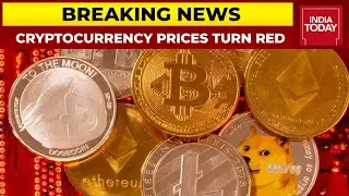 Cryptocurrency Prices Turn Red As Govt Plans Law On Banning Private Players | Breaking News