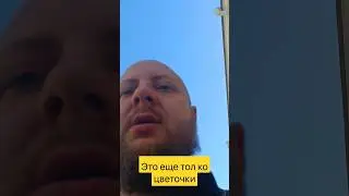 Цветочки ...