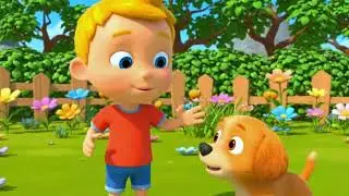 The Puppy's Big Bounce: A Backyard Adventure with Leo & Buster!