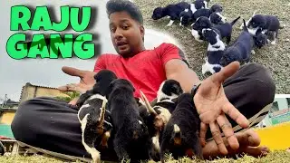ଚାଲି ଶିଖିଲେ RAJU GANG ଆଖି ବି ଫିଟି ଗଲା WOW 😮 || 