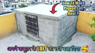 Apne kabootar ke loft ke upar kaa chhat bnaa diyaa🥰