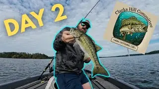 FINALLY Found a Buzzbait Bite on Tournament Day