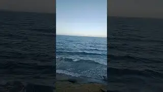 #nature #new #news #video #calm #cooking #waves #whatsappstatus #motivation #like #live #japan