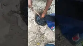 chemical earthing install #avonearthing #chemicalearthing #giearthing #earthing #avonearthingindia
