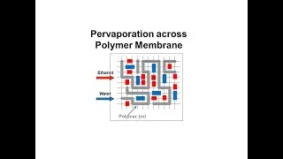 Polymer Membrane Pervaporation
