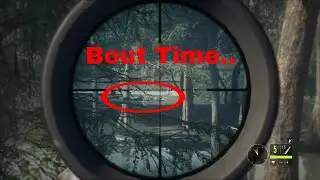 Call of the Wild - Random Hunting - 1440p