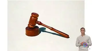 Swedish Law and Peoples responsibilities
