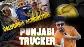 Arizona to California Run | A Punjabi Trucker's Vlog | Trucking Vlog 2025 | RollWithKaran 