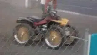 TONELOC T.V.