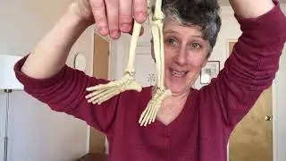Mobilignment™: How To Mobilize and Point Your Feet