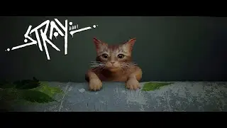 Stray ===} Котик упал #1