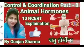 Animal Hormones/Control & Coordination/Part-8/Chapter-7/10 Class/NCERT Explaination