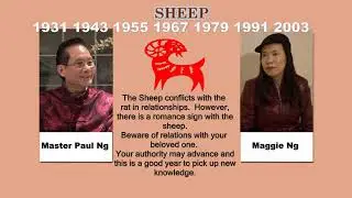 2020, Feng Shui Master, Paulng, Chinese Zodiac Animals, Sheep