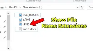How To Display File Extension in Windows 11