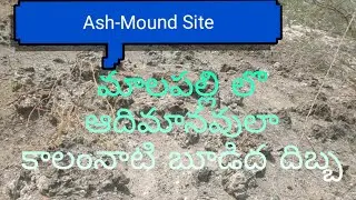 MALAPALLI  ASH - MOUND