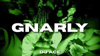 [FREE] Kyle Richh x Kay Flock Type Beat - &ldquo;Gnarly&rdquo; | NY Jerk Drill Type Beat 