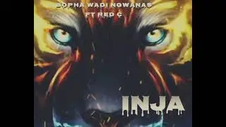 INJA , SUPER RED C ,BOPHA WADI NGWANAS,