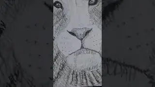 The Lion of Judah word art drawing by me #jesuschrist #lionofjudah #christianity