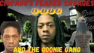 Meet CHICAGO'S FEARED SAVAGES: O-Dog And The Goonie Gang