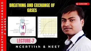 Breathing and Exchange of gases Class 11 Biology Chapter 14 NEET #jitendrajaiswalsir #neet #biology