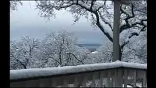 beautiful winter harp