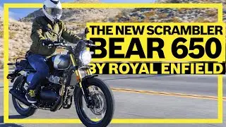 Royal Enfield Bear 650 - DIE neue Scrambler