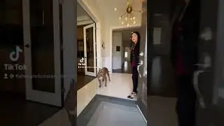 Take a *TikTok* Tour of 61 Casavant Crt Vaughan! Fishman Nicosia Real Estate Team