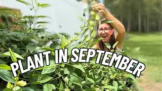 10 NEW Veggies You Should Plant in September