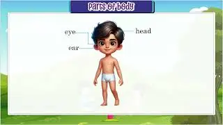 Ch 2 | Lavendar Books | Picture Book | B | Parts of Body | For children