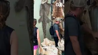 Inside Ghana&rsquo;s Eco Museum | Discover Nature, Wildlife & Culture 🇬🇭