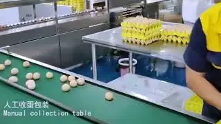 eggs washing sterilizer packaging line