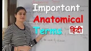 Important Anatomical Terms in Hindi | Common Anatomical Terms | Anatomical Terms for Beginners