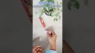 HIT Chalk Review: Does It REALLY Kill Cockroaches & Ants? 🐜❌ | #Shorts #HITChalkReview