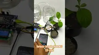 SMARTGARDEN dengan ESP8266 by Tokotronik  #smartgarden #nodemcuesp8266 #esp8266 #arduino #iot