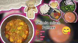 Paneer Shimla Mirch (Dry Punjabi Style) #viral  #foodandfire #paneerrecipes #youtubeshorts 