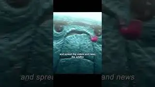 This giant crab had lived for 50 billion years #Movie #drama #recap