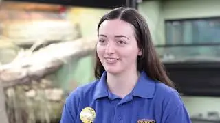 Meet the Apprentice at Drusillas | Zookeeper and Aquarist Apprenticeship