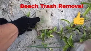 FT Lauderdale Beach Cleanup #trashtag
