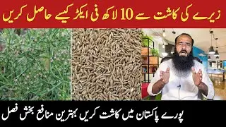 Zeera Ki Kheti Kaise Hoti Hai ||@ATCOrganic