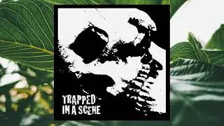 Trapped In A Scene - Comp. (Full Album | 2007 | Hardcore/Grindcore/Punk)