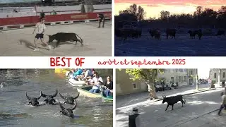 BEST OF du mois d'AOUT & SEPTEMBRE 2025