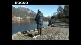 ROGNO