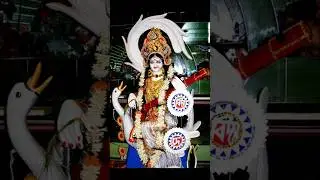 Happy saraswati puja #maasaraswati #viralvideo #maasaraswatihindufestival