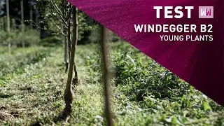 Windegger B2 | The new in-row mower tested on young plants