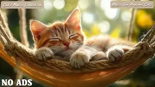 10 Hours Anti Anxiety Music For Cats 🐈 Stress Relief Music For Cats ♬ Calming Music For Cats 💖