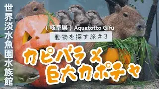 Vlog#3 可愛い大渋滞！カワウソ大家族＆トラブル連発カピバラ｜世界淡水魚園水族館（岐阜県）2025.10.15