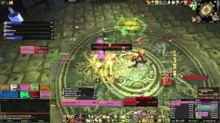 Twin Consorts 10 man heroic